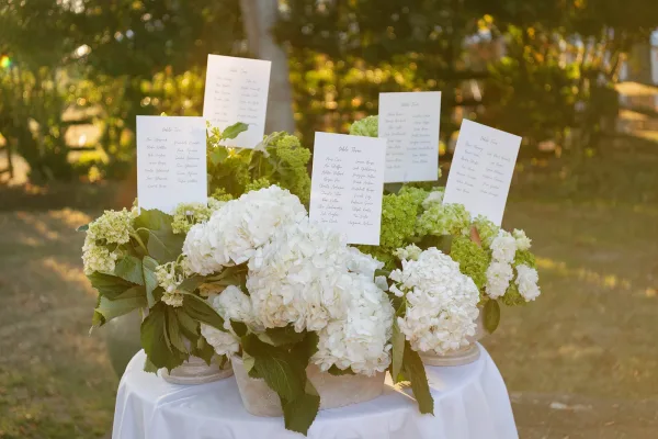 Escort card display with wedding escort cards in calligraphy, nestled among white hydrangea pots on a round table in a sunny garden setting