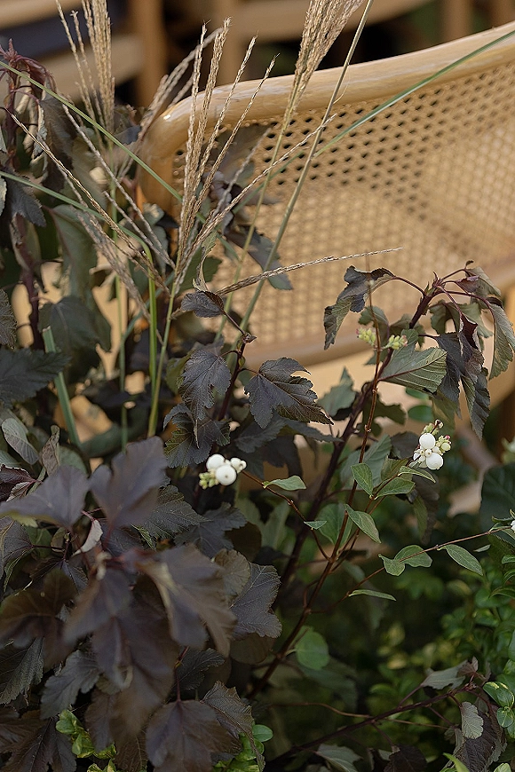 Wedding chair decor on a cane back chair with greenery, dried grasses and white berries, with blurred outdoor ceremony chairs behind