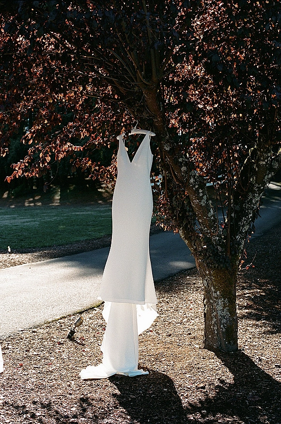 Wedding dress hanging from a dress hanger on a tree, simple wedding dress with clean lines shown against leaves and lawn background