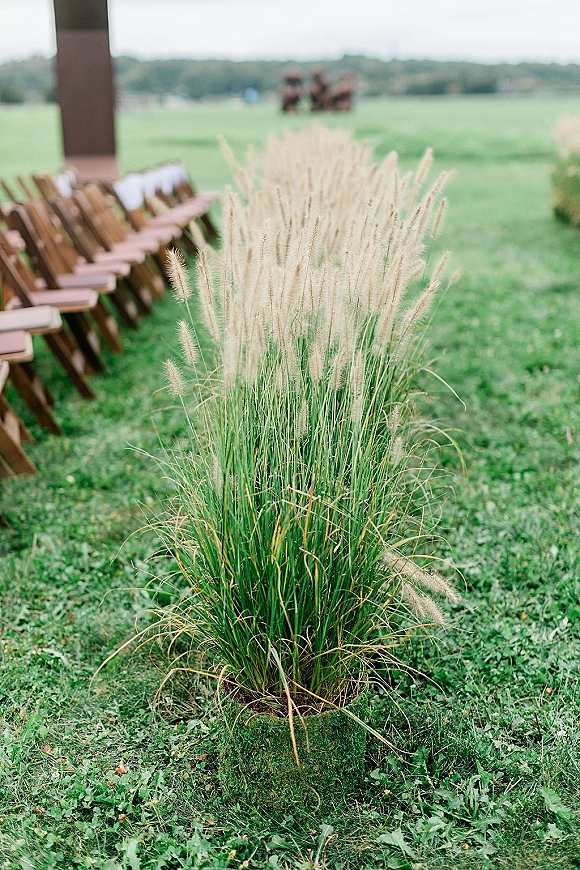 Ceremony aisle decor with ornamental grasses lining an aisle runner between wooden folding chairs on a lawn with distant trees