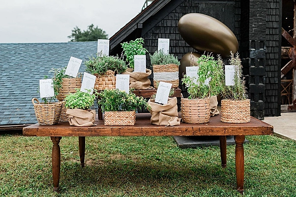 Escort card display with potted herbs as a wedding seating chart alternative, place cards clipped on a rustic wooden table on a lawn