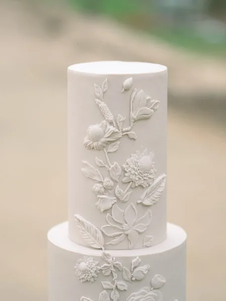 Wedding cake with white fondant, two tier wedding cake design featuring bas relief floral piping and botanical appliques against a blurred outdoor backdrop