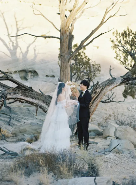 Wedding couple portrait of bride and groom holding hands and facing each other, long veil flowing in a desert landscape of rocks and brush