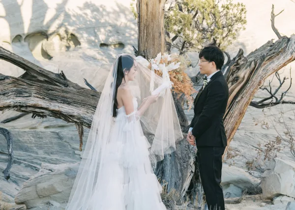 Wedding vows as the bride reading vows holds a vow book, veil trailing beside groom in tuxedo near driftwood and desert rocks
