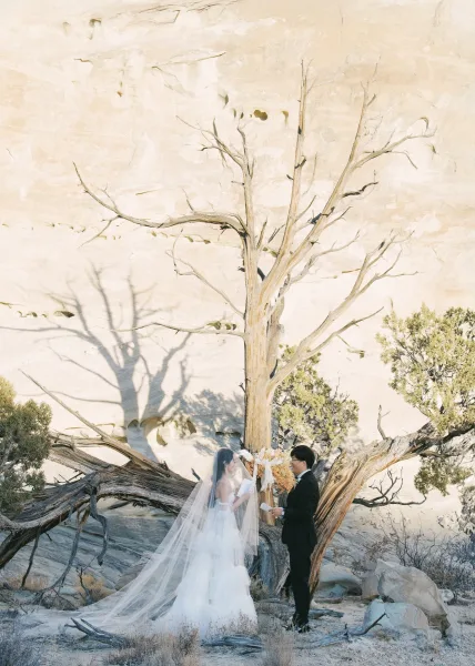 Wedding vows as bride and groom read from vow books, her long veil trailing beside bouquet in a desert landscape with rock formations