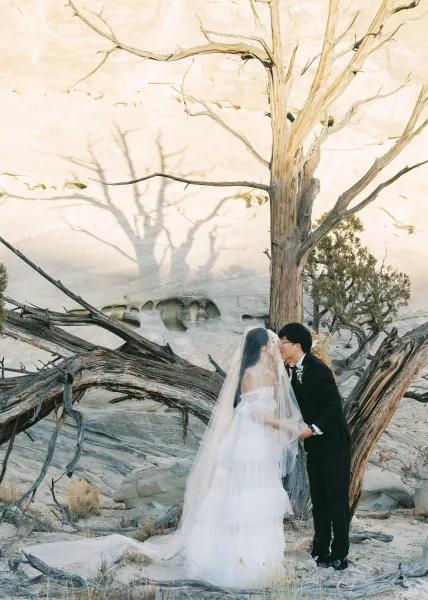 Wedding kiss portrait of bride and groom kissing beneath her cathedral veil on a rocky desert cliff with stark tree branches behind