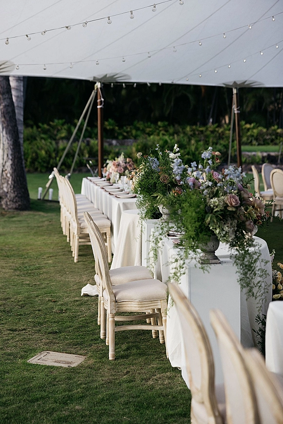 Reception tablescape with outdoor reception tablescape featuring a long banquet table, stone urn florals, greenery garlands, and string lights under a tent on a lawn