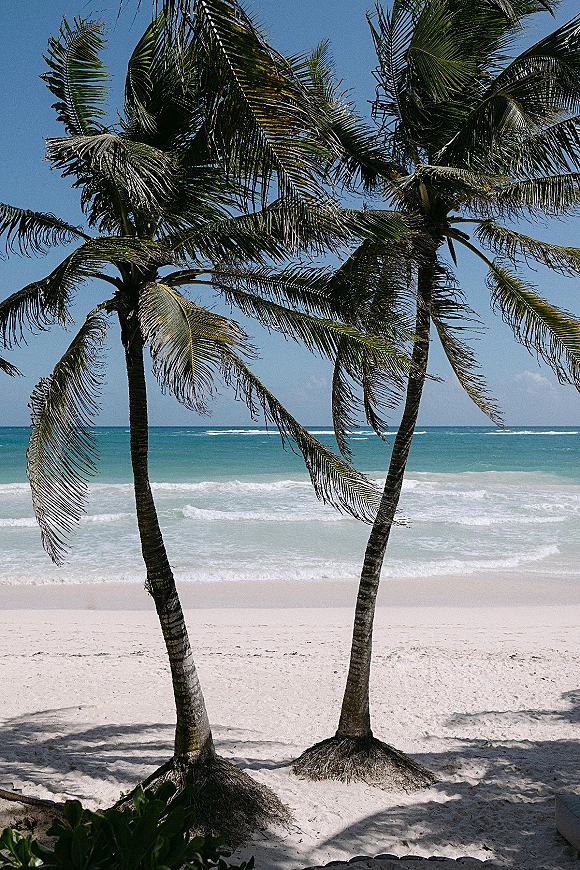 Beach scenery with palm trees framing turquoise ocean waves rolling onto white sand under a clear blue sky at the horizon