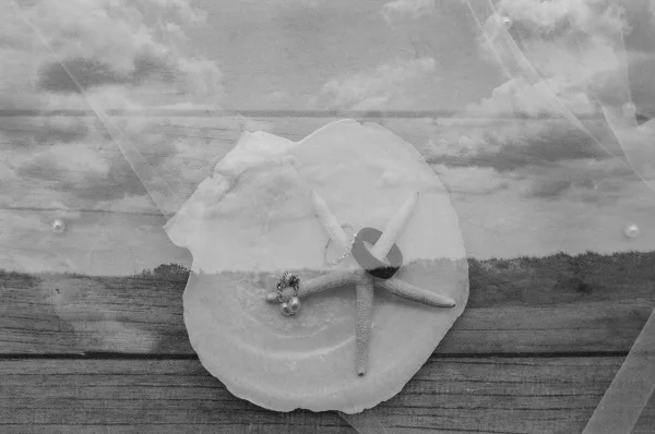 Wedding rings resting on a seashell ring holder with a starfish and pearl earrings on wood, with an ocean horizon behind