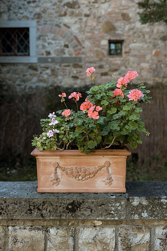 Flower planter in a terracotta planter box filled with pink blooms and green foliage, resting on a stone ledge by a window in a garden