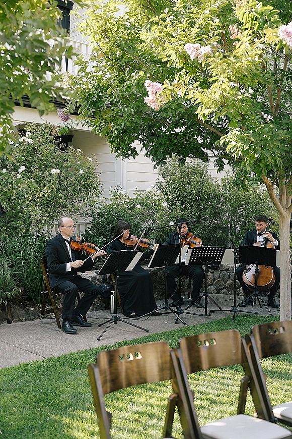 Wedding string quartet in formal black attire playing beside music stands and microphones on a garden lawn with a flowering tree backdrop