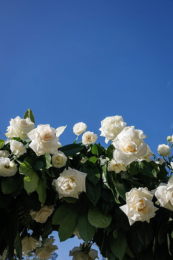 Wedding floral arch of white roses and greenery with leafy accents framed against a clear blue sky outdoor ceremony backdrop