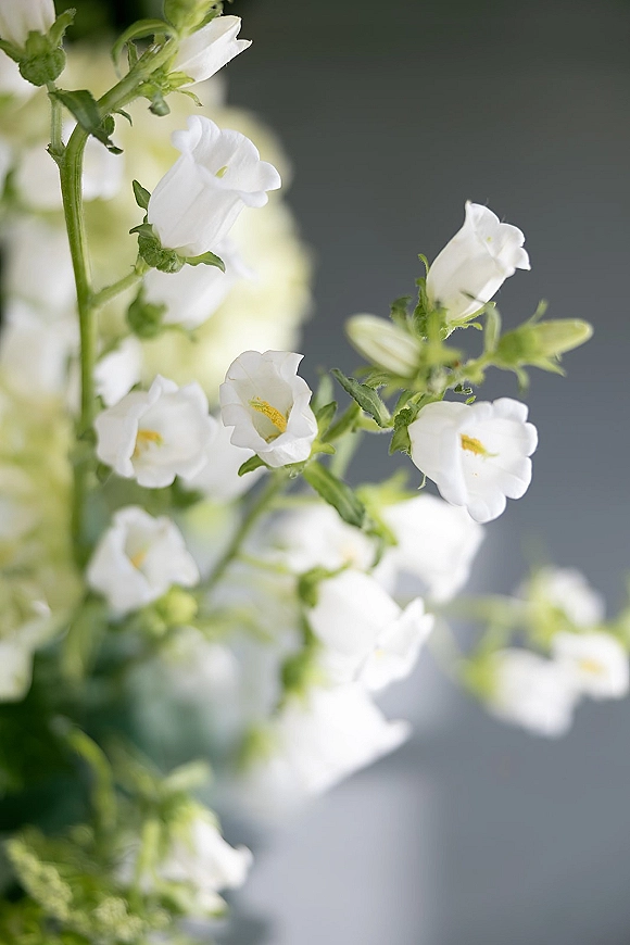 Wedding florals with white wedding flowers and bell-shaped blooms on green stems, softly lit against a gray background with blurred florals