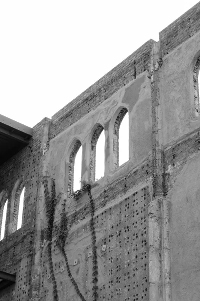 Architectural detail of industrial brick arches softened by climbing vines, showing arched openings in a masonry wall.