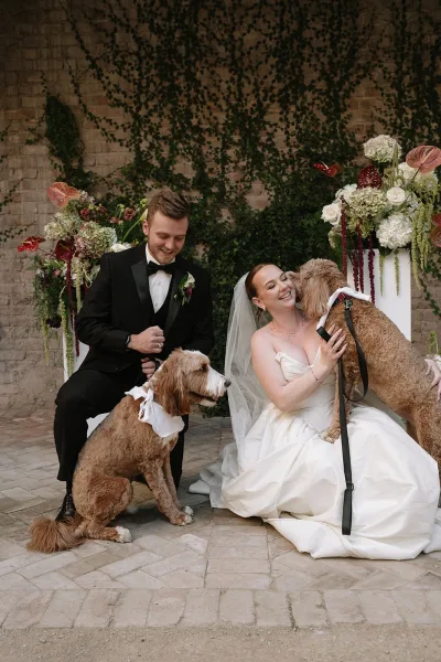 Wedding couple with dogs pose for a dog friendly wedding photo with pups in bandanas before an ivy-covered brick wall.