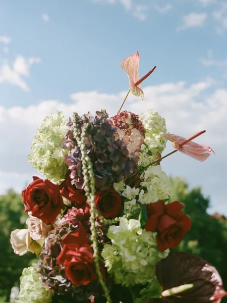 Wedding bouquet with red rose bridal bouquet blooms, green and dark hydrangea, and pink anthurium against a blue sky and trees