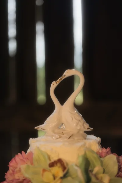 Wedding cake topper with ceramic swan cake topper on white frosted tiers, gold trim and pink flowers, lit by a window in a dark interior