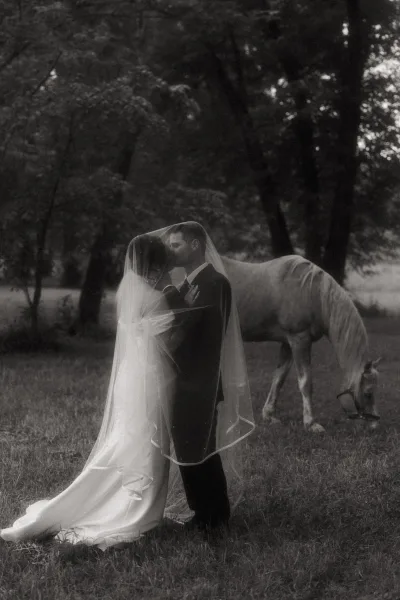 Wedding kiss portrait with veil wedding kiss as the bride and groom embrace under a long veil in a grassy field beside a horse