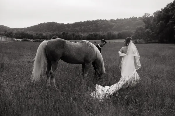 Couple portrait of bride and groom with horse, her cathedral veil and dress train flowing in tall meadow grass under cloudy sky
