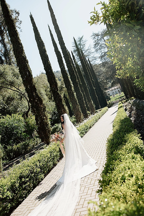 Bridal portrait of a bride holding bouquet, looking back with a long veil and dress train on a sunlit garden pathway lined with cypress trees