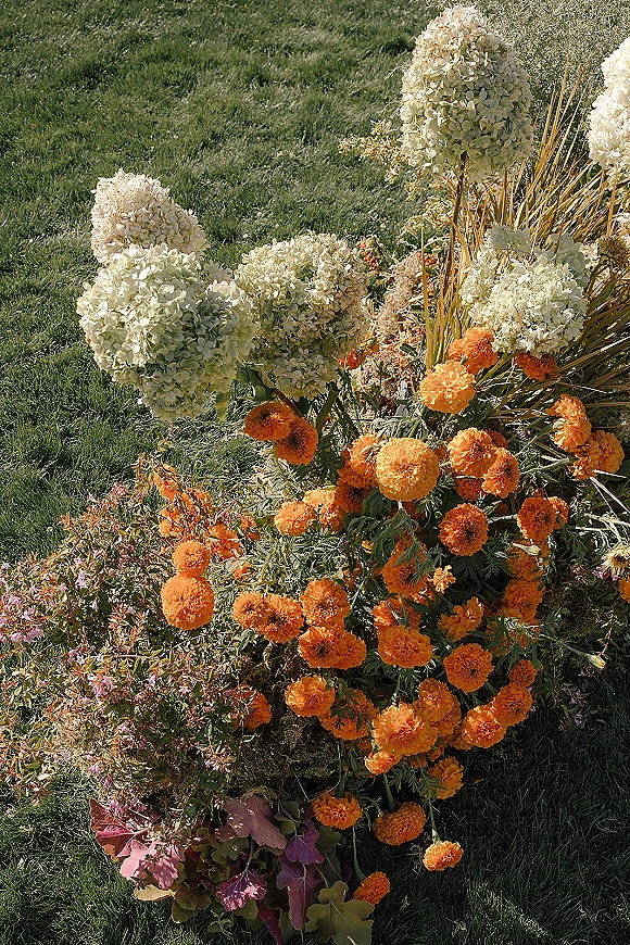 Wedding floral arrangement of white hydrangeas and orange marigolds with greenery as a ground installation on a grass lawn