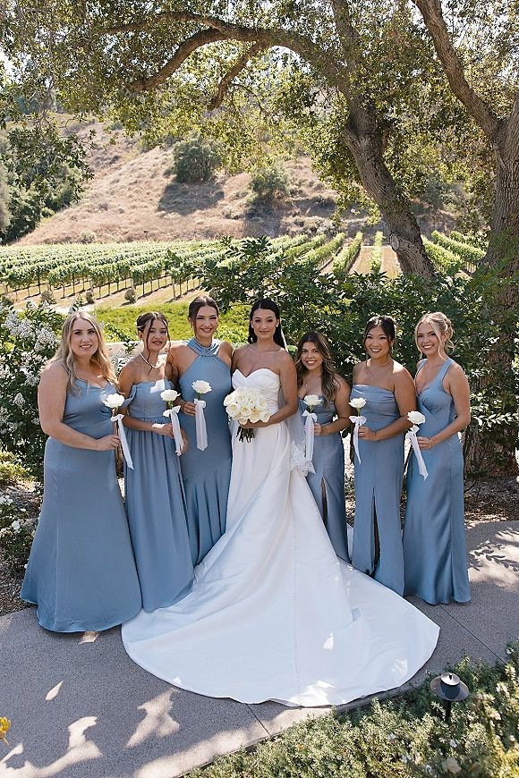 Bride with bridesmaids smiling in blue dresses, holding white rose bouquets with ribbon streamers on a vineyard walkway by a large tree