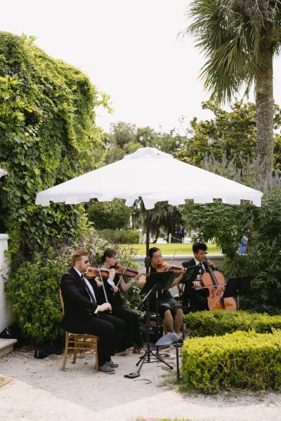 Wedding string quartet in formal black attire seated with music stands and sheet music, playing outdoors against lush ivy garden greenery