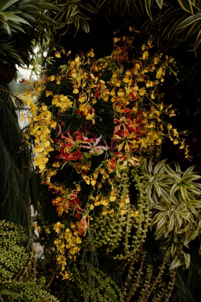 Wedding floral installation features an orchid floral arrangement layered against a dark foliage wall of dense greenery for a dramatic backdrop.