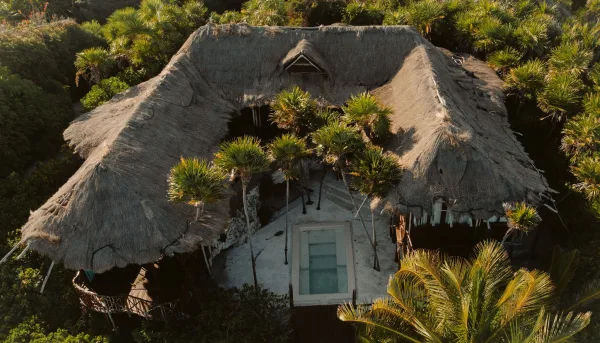 Tropical wedding venue with a thatched roof pavilion beside a swimming pool, framed by palm trees and sunlit greenery