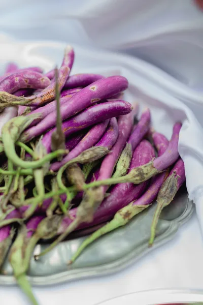 Wedding catering food featuring a wedding buffet vegetables platter with purple roasted eggplant on a serving tray over a table surface