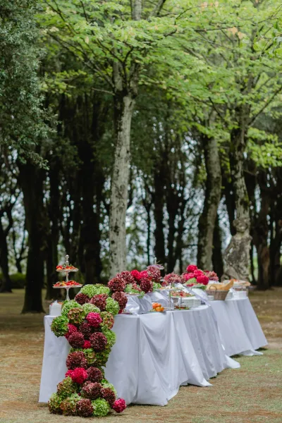 Wedding dessert table set with white tablecloths and hydrangea garland, tiered stands of desserts and fruit in a woodland setting