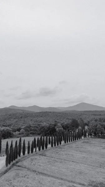 Wedding landscape photo in black and white showing a tree-lined road through rolling hills with cypress trees, mountains, and a cloudy sky