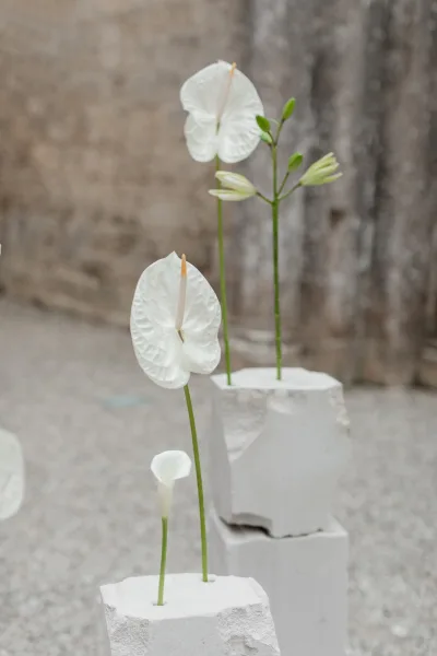 Minimalist floral decor with white anthurium arrangement and calla lilies in slim vases atop plaster blocks against a stone wall