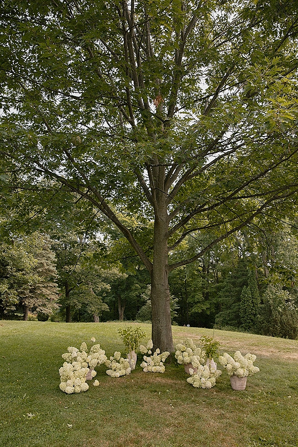 Outdoor ceremony decor with white hydrangea arrangements in wooden buckets and greenery stems beneath a large tree on a park lawn