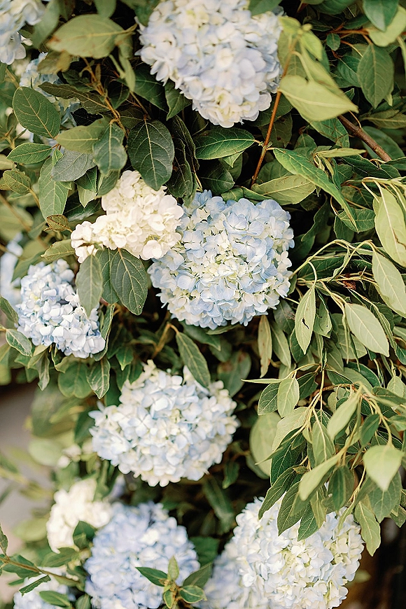 Hydrangea flowers in white and blue blooms with greenery accents, shown close up against soft foliage for romantic wedding decor