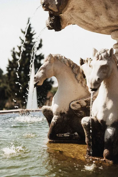 Wedding venue fountain with stone horse statues and flowing water, centered in an outdoor courtyard framed by trees and open sky
