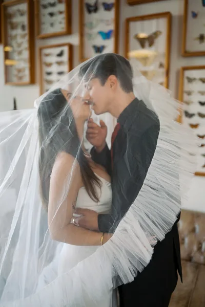 Wedding kiss portrait of bride and groom under a veil over face kiss, embracing indoors by framed butterfly artwork and wall sconces