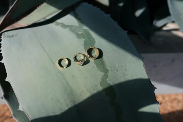 Wedding rings arranged in a flat lay, featuring gold wedding bands and a diamond engagement ring on a eucalyptus leaf in outdoor light and shadows
