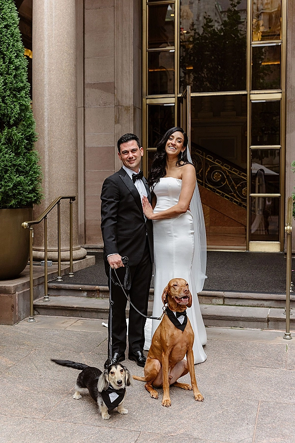 Couple portrait of bride and groom with dogs on leashes, her veil flowing, posed on stone steps at a glass hotel entrance