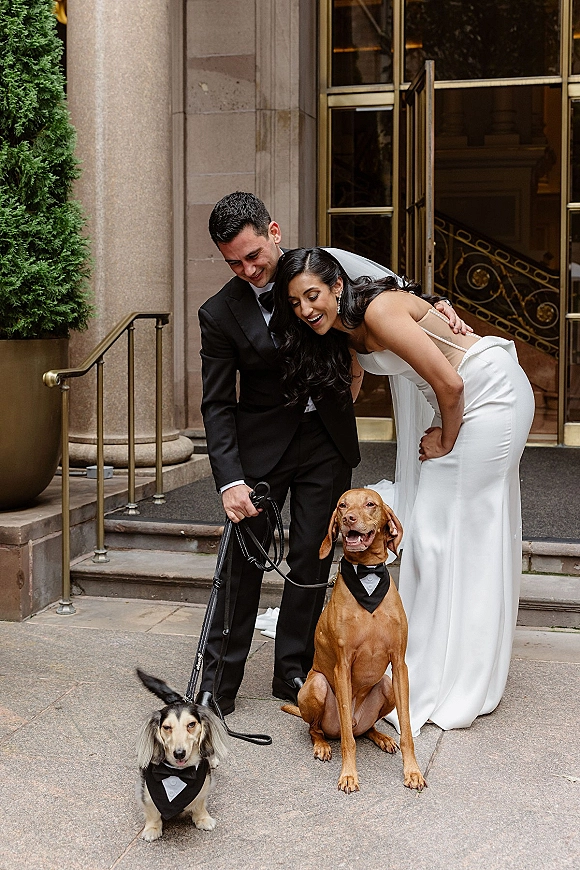 Couple portrait with dogs, bride in veil and groom in tux holding leashes on stone steps by a grand entrance with columns
