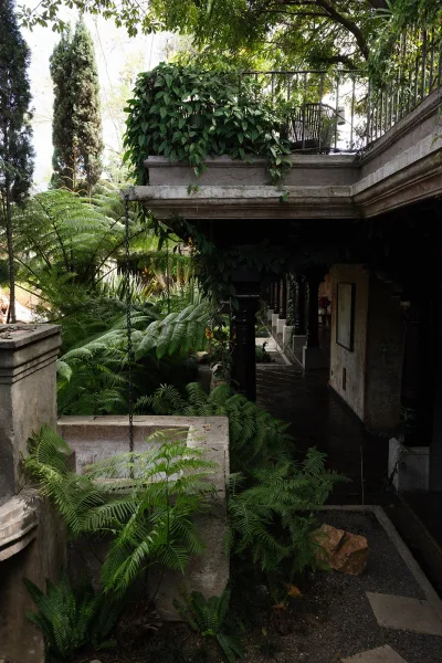 Garden wedding venue with ivy vines on a stone terrace balcony, wooden chairs and potted greenery in a shaded courtyard with steps and trees