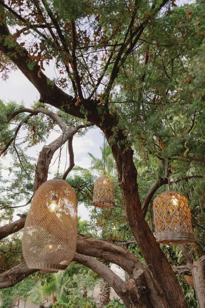 Outdoor wedding lighting with rattan pendant lights glowing warmly, strung among tree branches and green foliage against the evening sky.