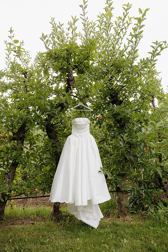 Wedding dress hanging on a dress hanger, strapless wedding dress displayed outdoors in a green orchard with fruit trees and sky backdrop