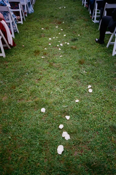 Ceremony aisle design with outdoor wedding ceremony seating on a grass lawn, edged with flower petals guiding the processional path.