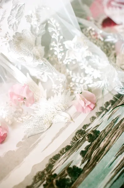 Embroidered wedding veil, a floral lace veil with bird applique, styled on a vintage illustration paper backdrop.