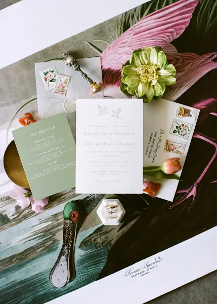 Wedding invitation suite featuring sage green wedding invitations and a wax seal, arranged on a vintage bird illustration backdrop.