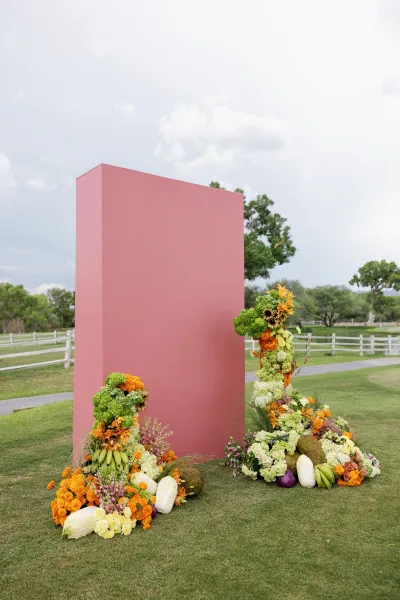 Ceremony backdrop styled as a modern wedding altar featuring a pink panel wall set outdoors on a grass lawn under a cloudy sky.