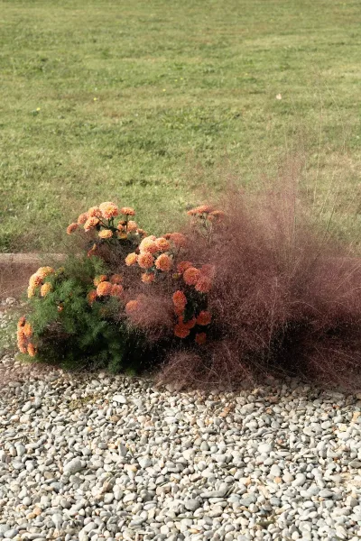 Ceremony florals and ground floral arrangement with orange flowers and greenery lining a sunlit lawn beside a gravel path