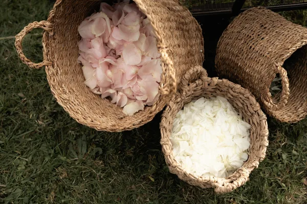 Flower girl baskets filled with pink rose petals, woven straw baskets displayed on a grass lawn beside a cart for petal toss