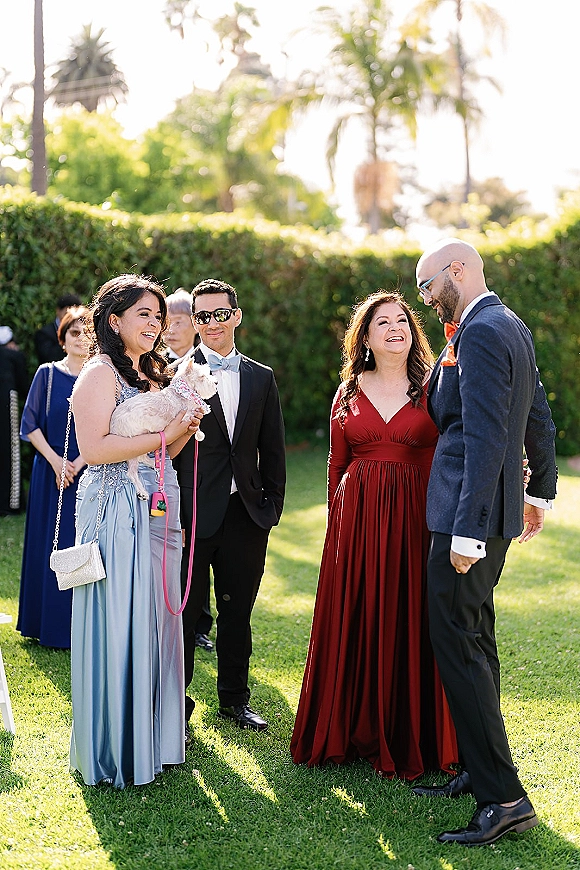 Wedding guests in wedding guest attire gather on a sunny lawn, dressed in black tie looks as a leashed dog stands beside them